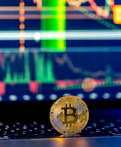 Borusan Ticaret Bilgileri